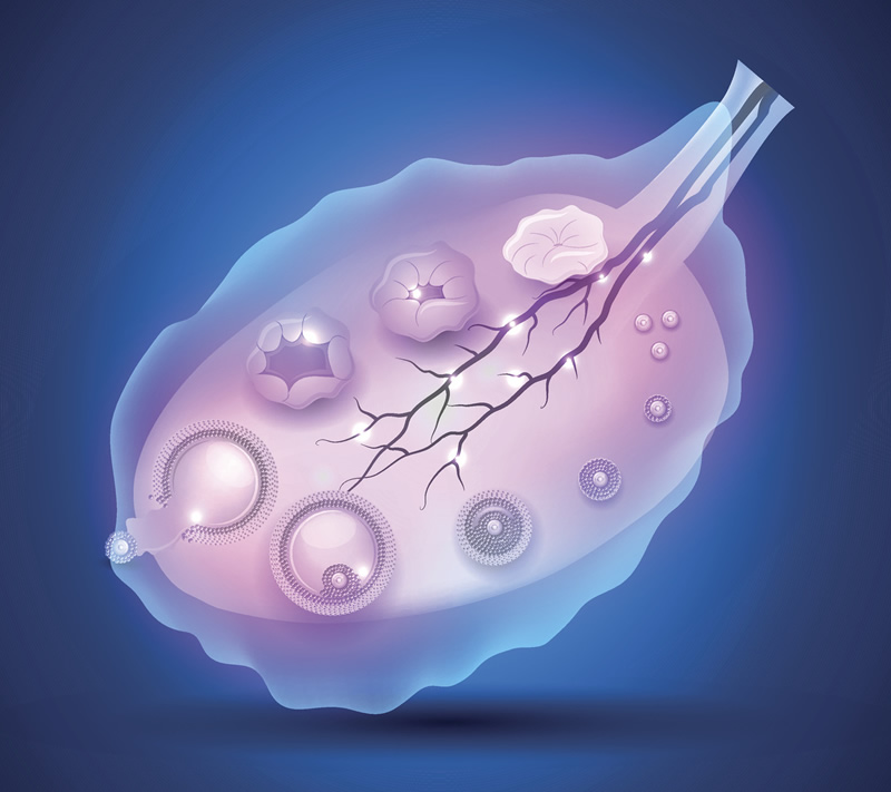 郑州家族遗传病阻断做试管排行前五医院，附本地遗传咨询与辅助生殖中心专业解析